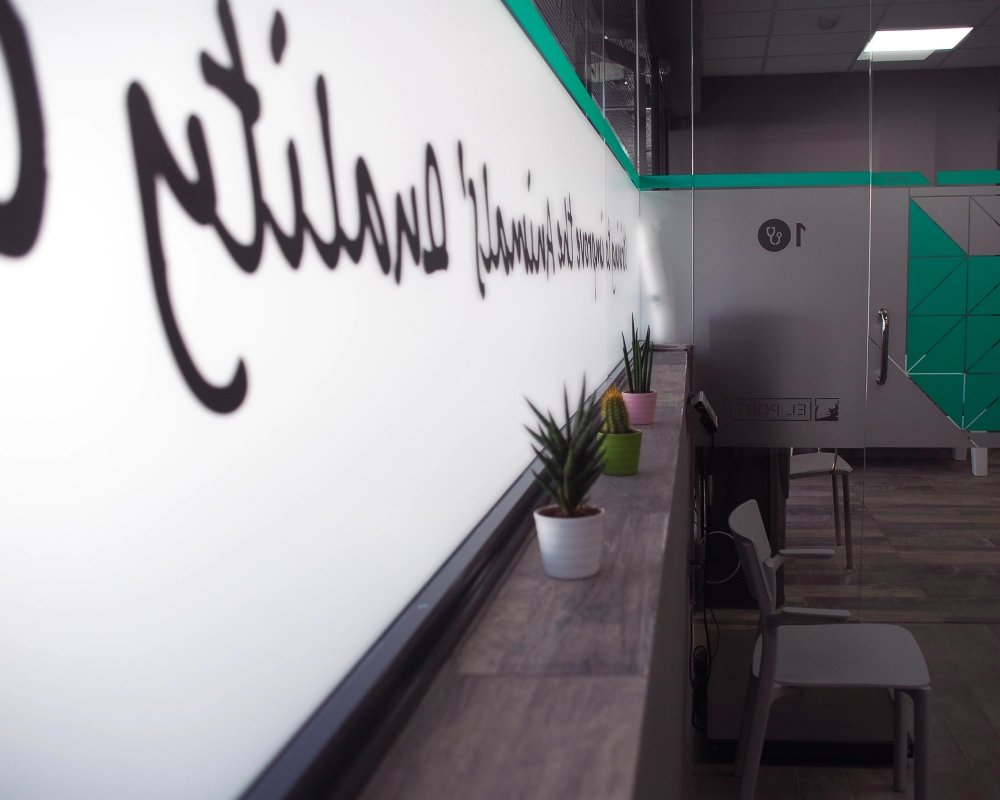 clinica-veterinaria-el-port-1