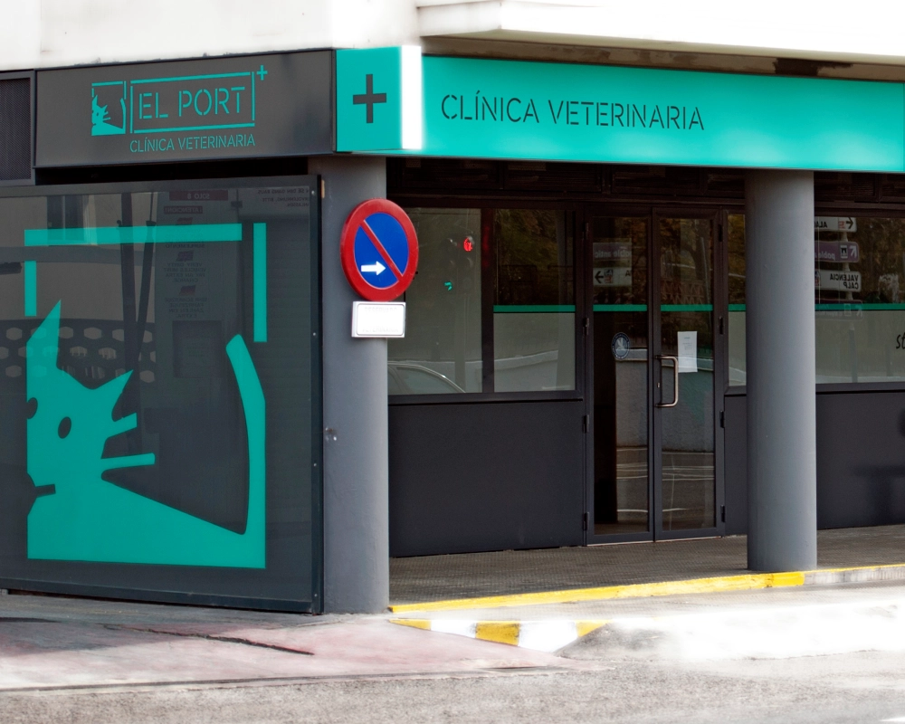 clinica-veterinaria-el-port-3