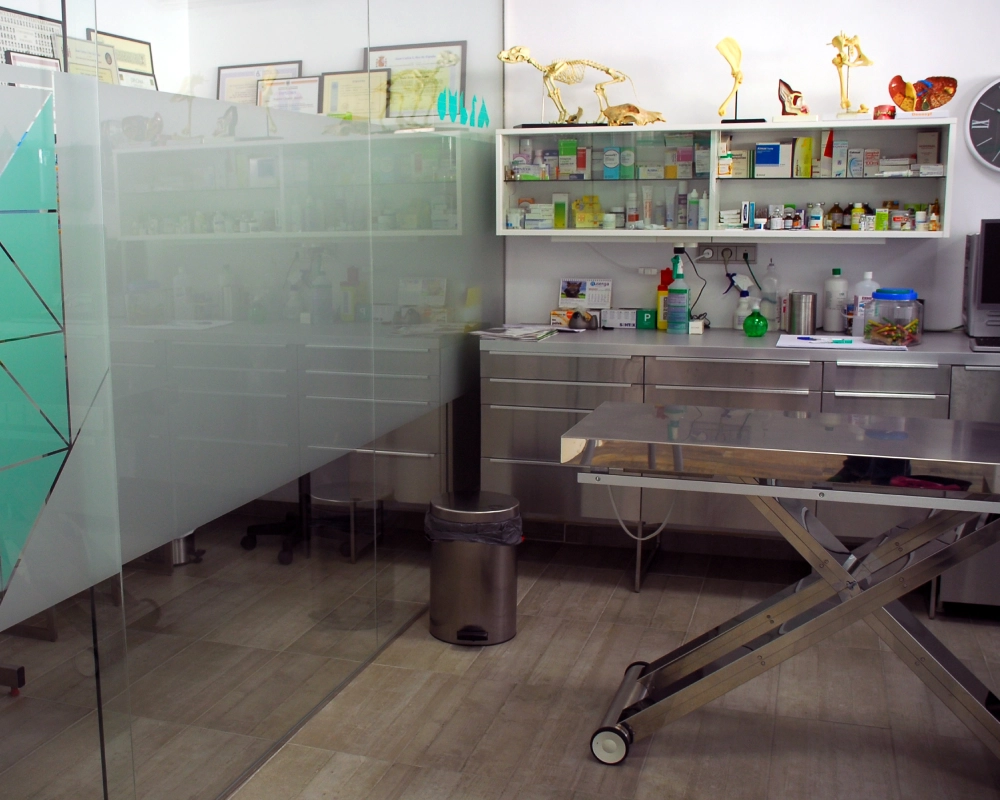 clinica-veterinaria-el-port-6